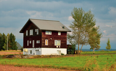 Beautiful wooden house on the field