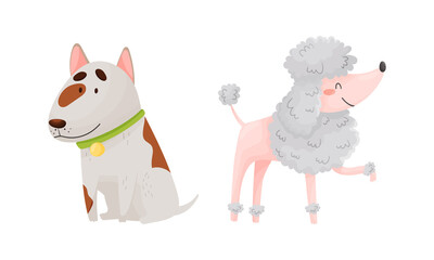 Funny Dog with Collar as Four-legged Friend and Domestic Pet Vector Set