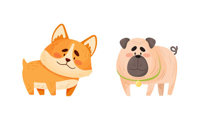 Obraz na płótnie Canvas Funny Pug and Corgi Dog with Collar as Four-legged Friend and Domestic Pet Vector Set