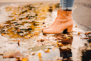 Maple leaves on the floor with feet women in autumn