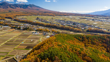 Coniferous forests and paddy fields at the foot of snow-capped mountains B