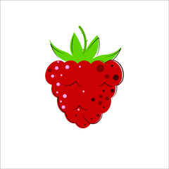 Ripe Juicy Raspberries with green leaves. Flat style Vector Illustration.