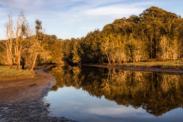 reflections on the water at avoca lagoon on nsw central coast