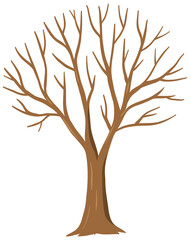 Obraz premium Simple tree with no leaves