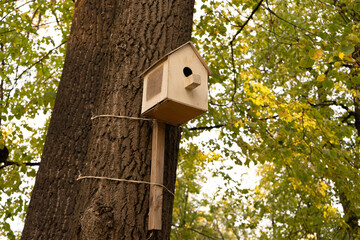 Bird house on tree