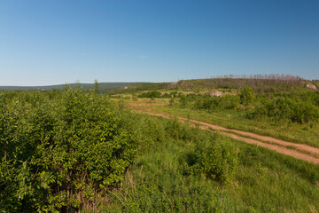 Fototapeta na wymiar nature of the north of the Perm region