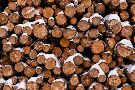 Stack of logs on snowy ground