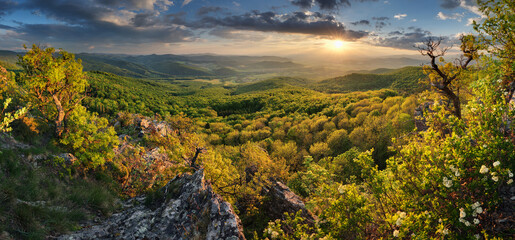Green forest landscape from peak Zarnov, Slovakia
