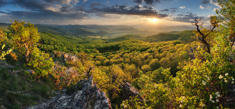 Fototapeta Green forest landscape from peak Zarnov, Slovakia