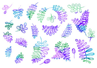 Fototapeta na wymiar Watercolor artistic multicolor Set of floral elements in the style of line art wedding theme on a white background. Doodle and scribble. Blue, violet, green and purple leafs for postcard and