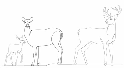 deer drawing by one continuous line, isolated