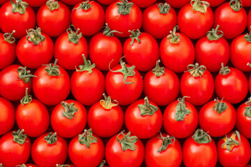 Background image of lying rows of red ripe cherry tomatoes. Top view. Flat lay, copy space