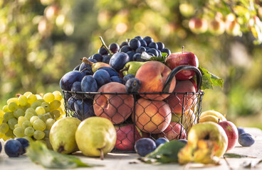 Assortment of fresh fruits on a garden table in a wire basket