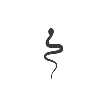 Snake illustration vector