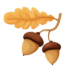Two acorns on a branch with yellow oak leaf in cartoon style isolated on a white background. Forest decoration, seasonal nature element.