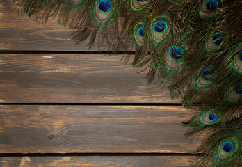 peafowl feather on wooden surface