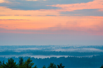 A slightly hazy landscape with steam rising between the trees. Evaporation in the forest on sunset after rain.