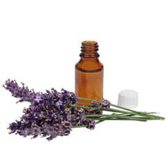 Brown bottles of lavendar buds. Dried lavender flows. Open bottle,  oill essence.