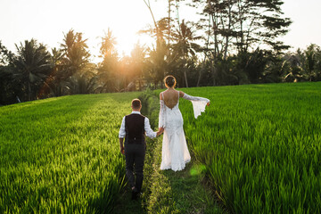 The newlyweds hold hands and walk across the field in the light of the rays of the setting sun