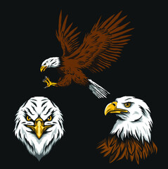 eagle illustration bundle, can be used for mascot, logo, apparel and more