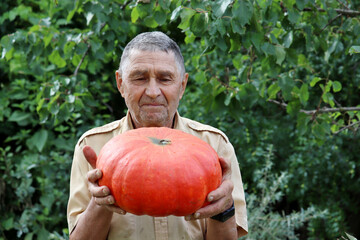 Old farmer picking harvest on a field, happy elderly man with ripe pumpkin in hands