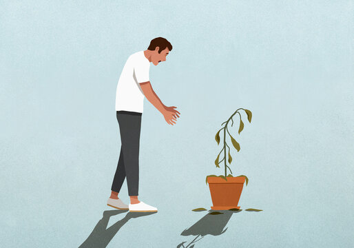 Surprised man looking down at dead houseplant
