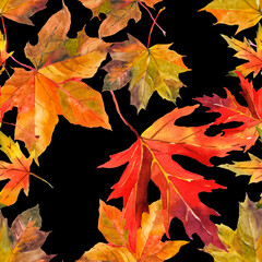 Fototapeta premium Autumn maple leaves watercolor on black background seamless pattern for all prints.