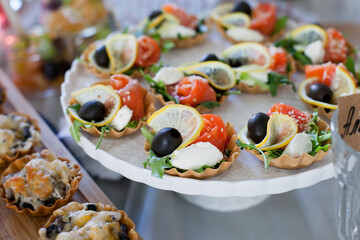 tartlets appetizers with salmon - obrazy, fototapety, plakaty