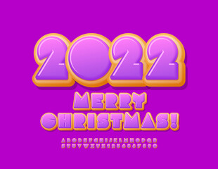 Vector violet Greeting Card Merry Christmas 2022! Sweet glazed Font. Abstract style Alphabet Letters and Numbers set