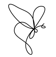 Butterfly line icon, isolated on the white. Vector