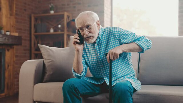 Cheerful sociable friendly pensioner man sit couch hold cane talk phone 