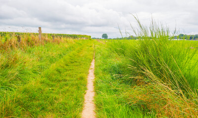 Fields and trees in a green hilly grassy landscape under a blue sky in sunlight in summer, Voeren, Limburg, Belgium, September, 2021