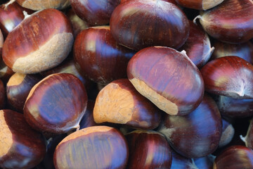 Background of chestnuts, close-up fresh raw chestnuts on market stand