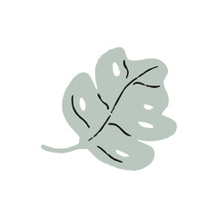 Vector doodle abstract leaves illustration, isolated on white background. Boho trendy floral and herbs illustration, hand drawn texture. Design elements.