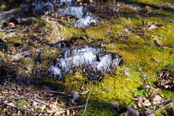 The frost pillars that shine in the morning sun