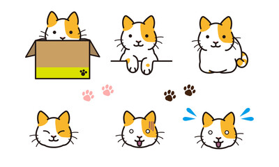 Obraz premium かわいいネコのポーズ