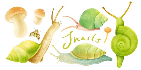 Snails with autumn forest elements illustration watercolor styles © b.illustrations