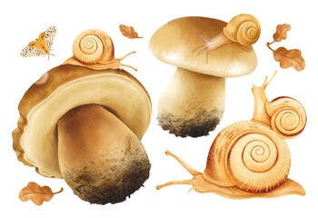 Snails with autumn forest elements illustration watercolor styles