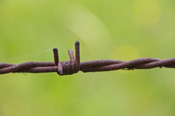 barbed wire on a fence