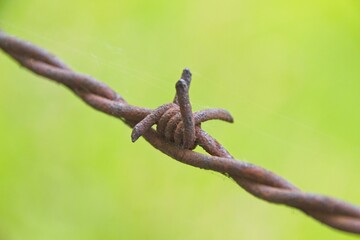 barbed wire on a fence