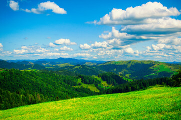pastures of young green grass on the slopes of the mountains against the backdrop of a beautiful blue sky. High quality photo