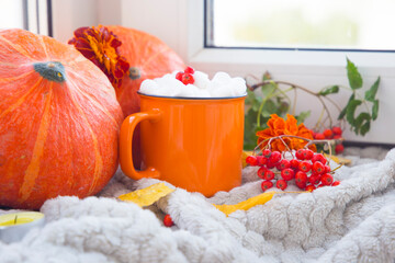 Halloween cozy mood composition on the windowsill, decorative pumpkins, warm plaid, hygge halloween home decor.