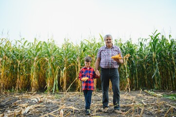 Grandfather and grandson with ripe corn ears taking selfie near dry plants while working in agricultural field together