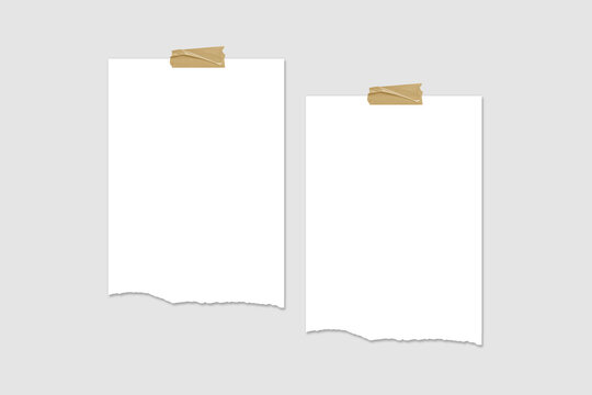 Blank Hanging Paper Set for Mockup. 3D Render.