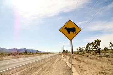 Beware of cattle on the road