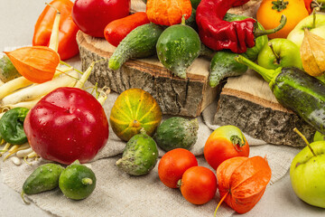 Trendy ugly organic vegetables and fruits on stone concrete background