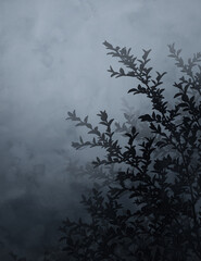Silhouettes of plants in the fog. Hand painted image for creative design of cards, posters, cards, packaging, banners, websites, wallpapers, invitations and magazines. 