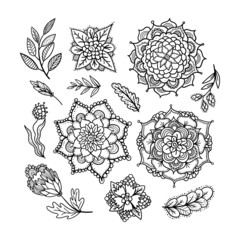 Floral vector decorations set. Hand drawn illustration, doodle leafs, mandalas