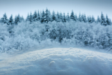 Fototapeta na wymiar Christmas background with white snow and winter trees.