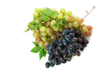 Green and dark ripe grape isolated on white background